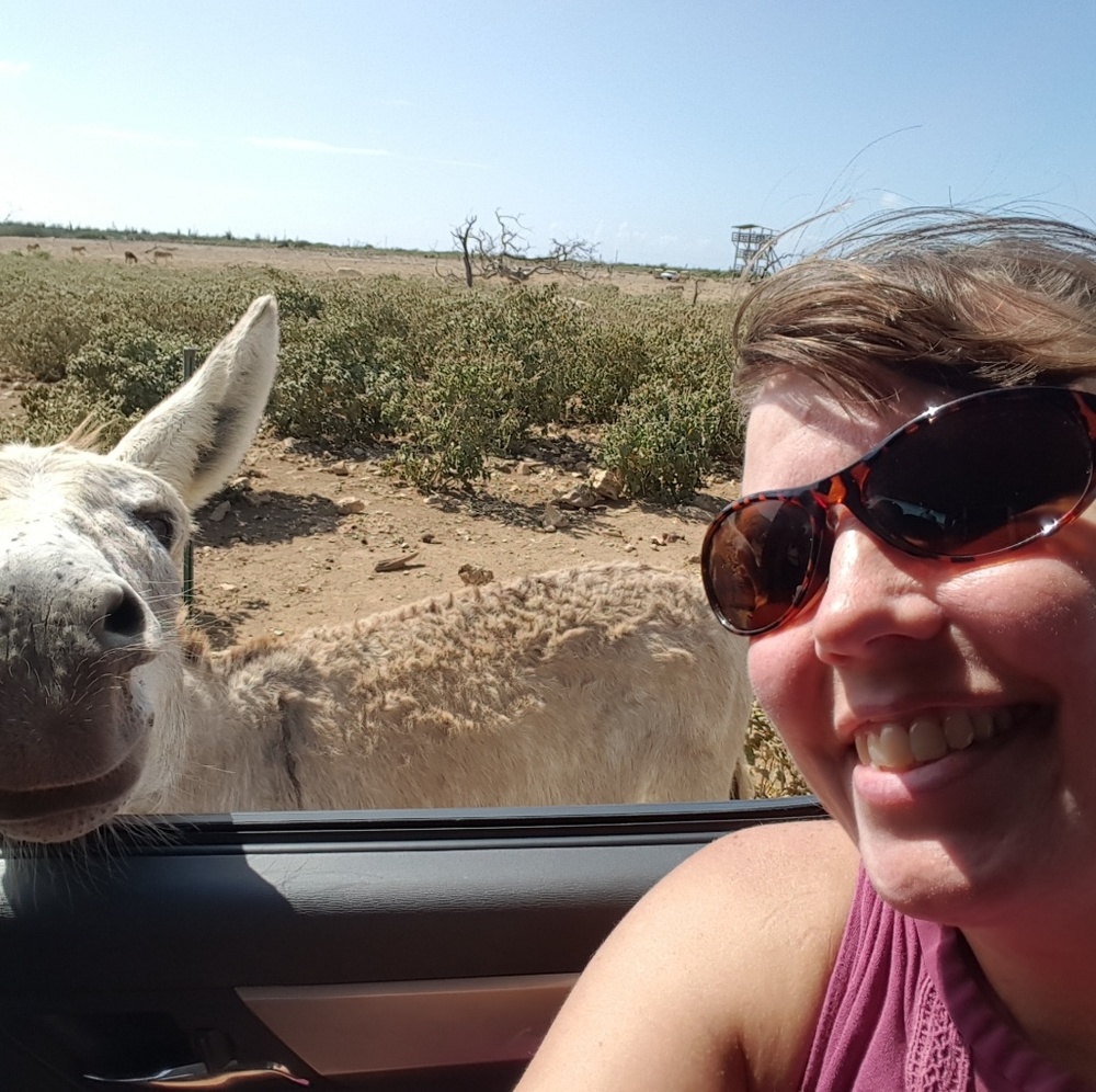 Meet your Posher, Dee